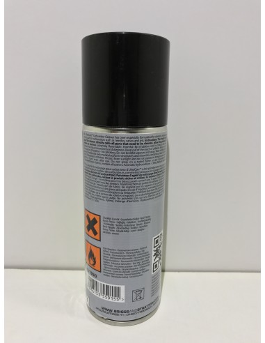 PULITORE CARBURATORI B&S - CONF. 250 ML.