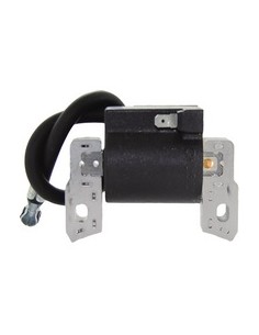 B&S BOBINA COMPLETA MOTORI QUANTUM. EX.: 802574