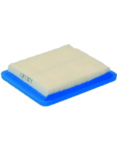 B&S FILTRO ARIA MOTORI.:  600/625/675/QUANTUM; DIM.: 113X114X19;