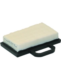 B&S FILTRO ARIA; MOT.: INTEK BI-CIL.; DIM.: 185X109X38 MM.