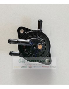 B&S POMPA BENZINA; INTEK; POWERBUILT;