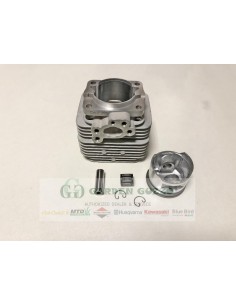 BLUE BIRD KIT CILINDRO COMPLETO DEC. EP 370 ECO; COMP. GABBIA A RULLI.
