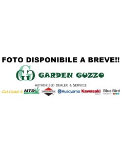 BLUE BIRD KIT TAGLIASIEPE + TAGLIASIEPE TELESCOPICO A BATTERIAMOD.: R3S 40 V TAGLIASIEPE + RS3 40 V TAGLIASIEPE TELESC. - DOTATO