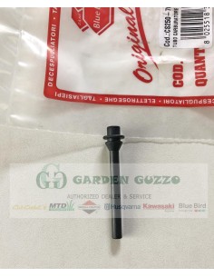 BLUE BIRD TUBO CARBURATORE MOTOSEGA CS 250;