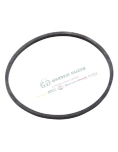 GUARN. VASCH. CARB. B&S MOTORI - QUANTUM/QUATTRO/450/500/550