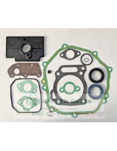 CUB CADET; KIT GUARNIZIONE COMPLETO MOTORI 420 OHV;