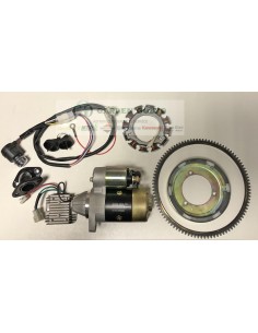 KIT AVVIAMENTO ELETTRICO YANMAR L48.  COMPLETO DI CORONA DENT; REGOLATORE TENSIONE; ALTERNATORE; CAVI CABLATI E  BLOCCO CHIAVE E