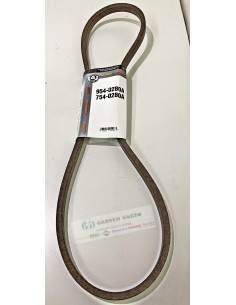 MTD CINGHIA MOTORE/ VARIATORE  CAMBIO TRANSMATIC 6+6;