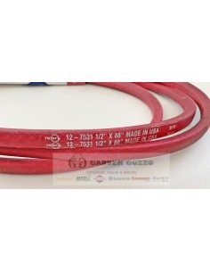 MURRAY/SNAPPER/SIMPLICITY CINGHIA TRASMISSIONE HYDRO ELT1742; REPLICA: 173744YP;