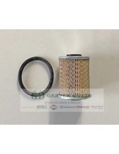 RUGGERINI ACME FILTRO CARBURANTE DIAM.: 50 MM;  MOT.: RF/RD;