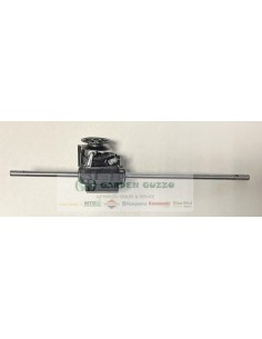 CASTEL GARDEN TRAZIONE COMPLETA; RASAERBA PAN 504 T/TR; EX.: RAMAGP181003070